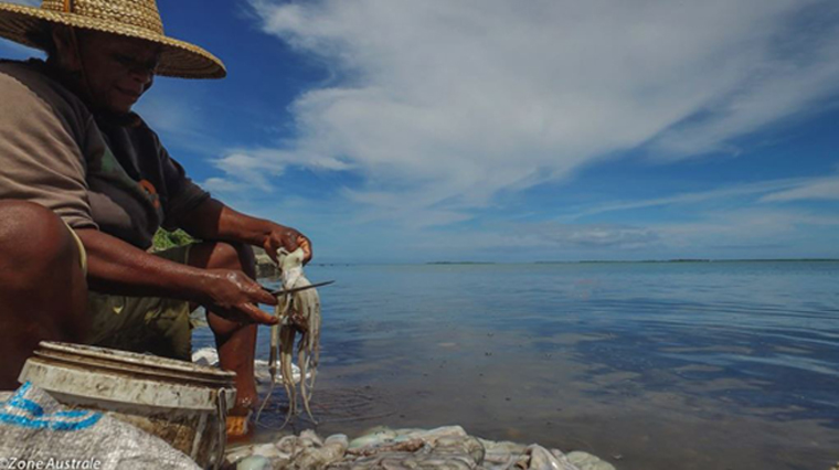 Les piqueuses d'ourites de Rodrigues