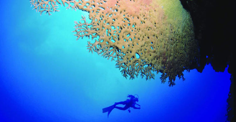 Spot de plongée à Rodrigues