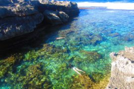 snorkeling rodrigues